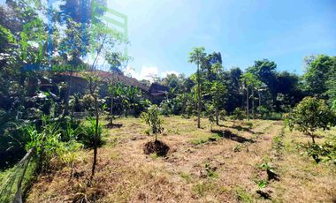 dijual Tanah pekarangan dekat pasar Drajitan musuk Boyolali