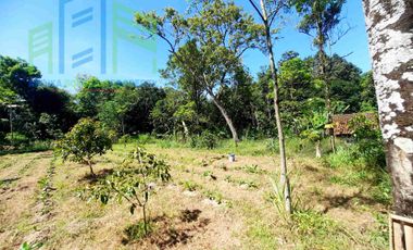 dijual Tanah pekarangan dekat pasar Drajitan musuk Boyolali