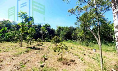 dijual Tanah pekarangan dekat pasar Drajitan musuk Boyolali