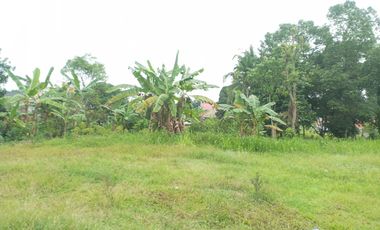 Rumah classic di Kebon kopi Jambi dijual cepat, sertifikat aman