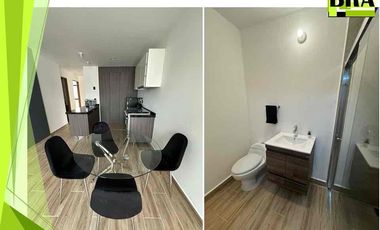RENTA DEPARTAMENTO