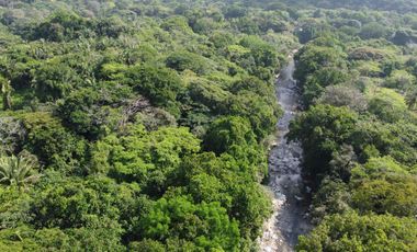 se vende finca en calabazo Tayrona