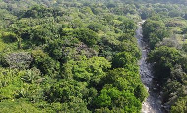 se vende finca en calabazo Tayrona