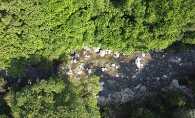 se vende finca en calabazo Tayrona