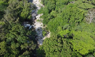 se vende finca en calabazo Tayrona