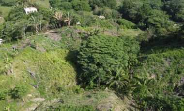 se vende finca en calabazo Tayrona