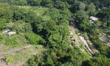 se vende finca en calabazo Tayrona