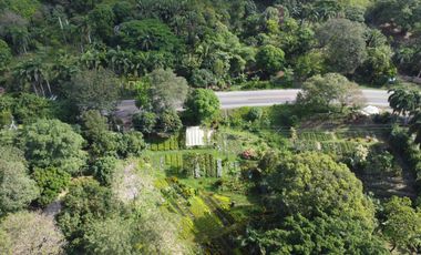 se vende finca en calabazo Tayrona