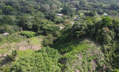 se vende finca en calabazo Tayrona