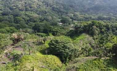 se vende finca en calabazo Tayrona