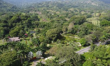 se vende finca en calabazo Tayrona