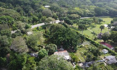 se vende finca en calabazo Tayrona