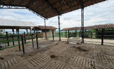 EN VENTA FINCA AGROTURISTICA EN ULLOA