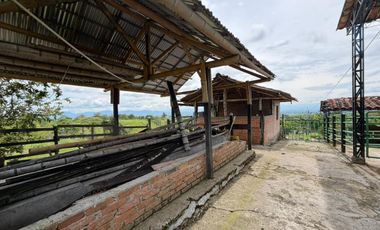 EN VENTA FINCA AGROTURISTICA EN ULLOA