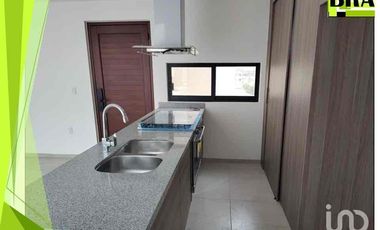 RENTA DEPARTAMENTO