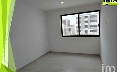 RENTA DEPARTAMENTO