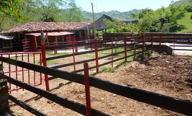 SE VENDE FINCA EN QUIMBAYA - QUINDIO