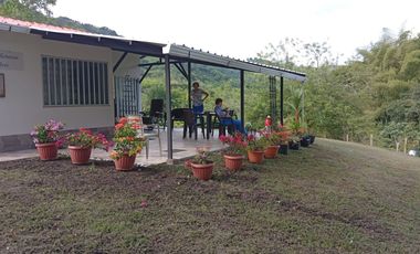 SE VENDE FINCA EN QUIMBAYA - QUINDIO