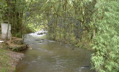SE VENDE FINCA EN QUIMBAYA - QUINDIO