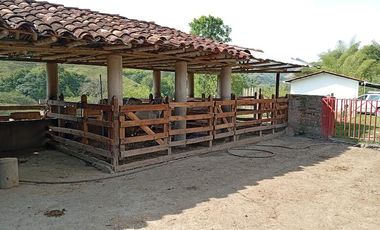 SE VENDE FINCA EN QUIMBAYA - QUINDIO