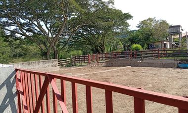 SE VENDE FINCA EN QUIMBAYA - QUINDIO