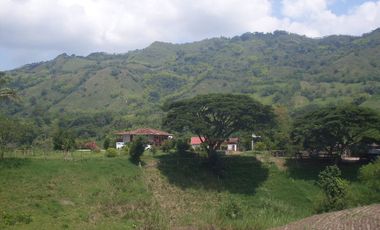 SE VENDE FINCA EN QUIMBAYA - QUINDIO