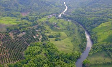 SE VENDE FINCA EN QUIMBAYA - QUINDIO