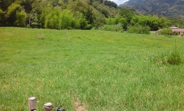 SE VENDE FINCA EN QUIMBAYA - QUINDIO