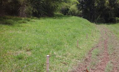 SE VENDE FINCA EN QUIMBAYA - QUINDIO