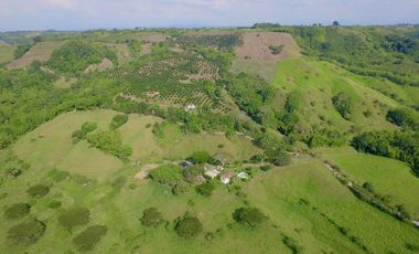 SE VENDE FINCA EN QUIMBAYA - QUINDIO