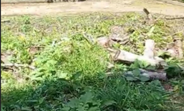 TERRENO EN PEDRO VICENTE MALDONADO
