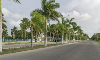 Terreno Habitacional