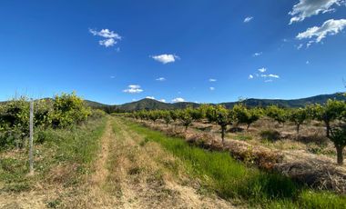 Terreno en venta en Palmilla, Colchagua