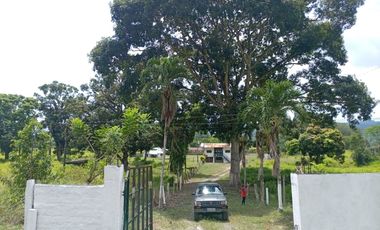 Hacienda Marichu Enea: 240 Has
