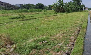 SAWAH PRODUKTIF DIJUAL DEKAT TERMINAL GIWANGAN YOGYAKARTA