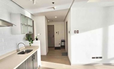 Birch Tower Manila Large 1BR - near UP Manila Campus and Robinson’s Place Manila