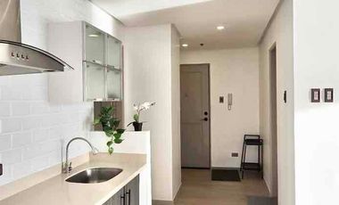 Birch Tower Manila Large 1BR - near UP Manila Campus and Robinson’s Place Manila