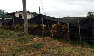 Terreno en venta en Santo Domingo de los Tsachilas, Santo Domingo