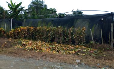 Terreno en venta en Santo Domingo de los Tsachilas, Santo Domingo