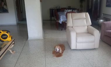 VENDO HERMOSO APARTAMENTO  EN SECTOR DE ALTO PRADO CON ÁREA DE 270mts, SEGUNDO PISO CON ASCENSOR