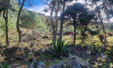 Vendo hermosa propiedad vacacional via Guachapala,    a 7 minutos de Paute