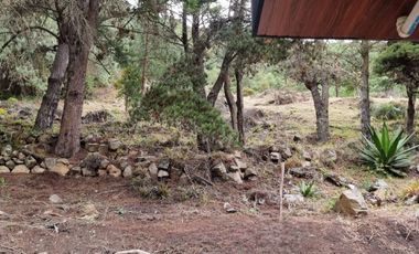 Vendo hermosa propiedad vacacional via Guachapala,    a 7 minutos de Paute