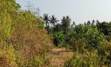 Dijual atau Sewakan Tanah Lokasi Startegis Pinggir Pantai di Bali