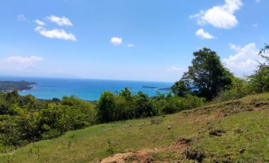View Memukau di Lombok 1 Ha Harga masih segini ?