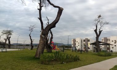 RENTA DE DEPARTAMENTO AMUEBLADO EN LOS HEROES DE LEON