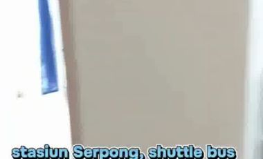 Disewakan Apartemen di Tree Park, BSD Serpong 2 bedroom perbulanan