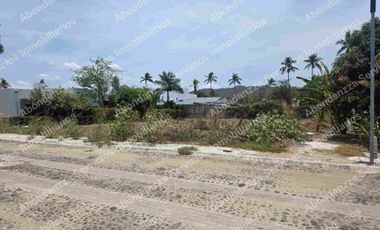 Terreno en Venta en La Ceiba Manzanillo