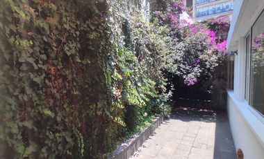 Casa en Renta en un solo nivel, 380 m2C, Lomas de Reforma