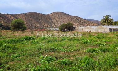 Leon Propiedades vende 4,4 has. a orilla de camino principal, sector Pataguilla, Curacaví.