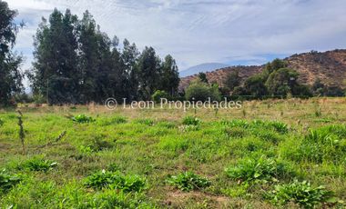 Leon Propiedades vende 4,4 has. a orilla de camino principal, sector Pataguilla, Curacaví.